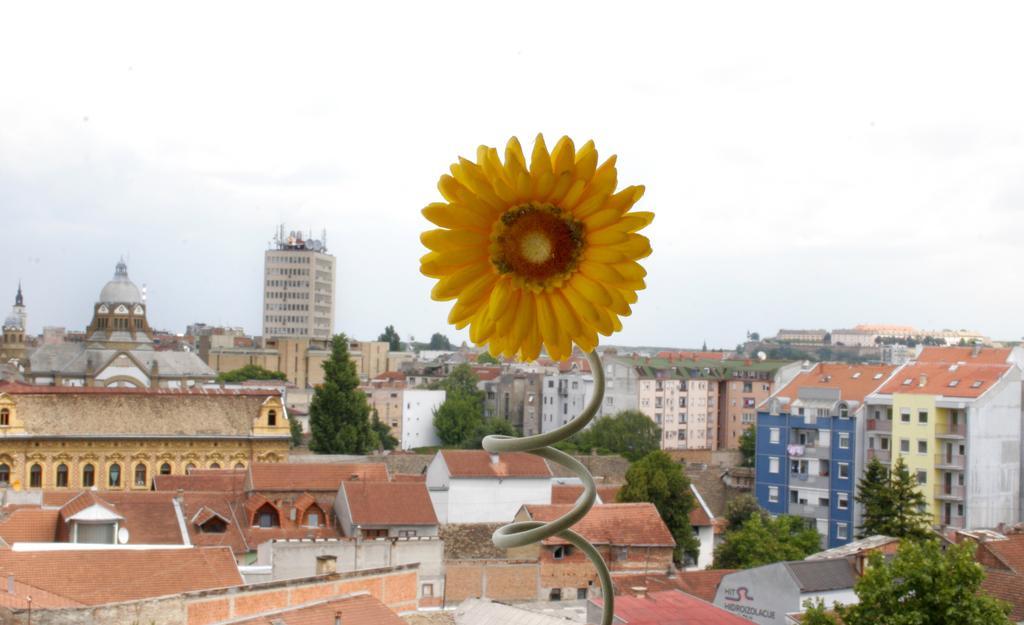 Panorama City Inn Sremski Karlovci Ngoại thất bức ảnh